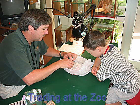 zoo trading